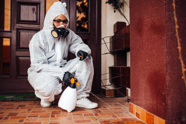 Reliable Wasp Removal contractor in Clearlake, CA by Show Me Pest Control